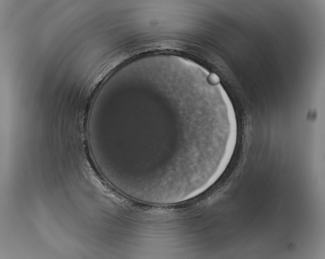 X0000112910977200910051039
