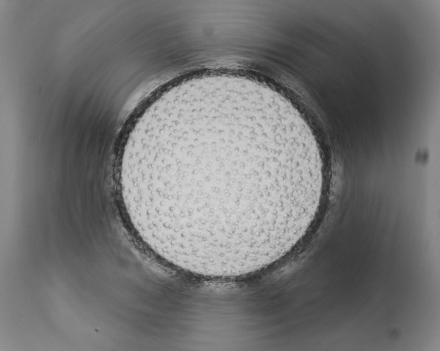 X0000112910978200910051039