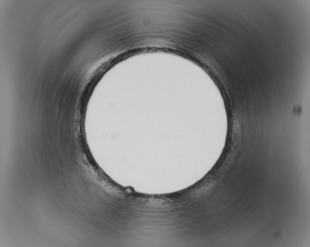 X0000112910979200910051039