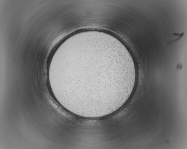 X0000112910982200910051038