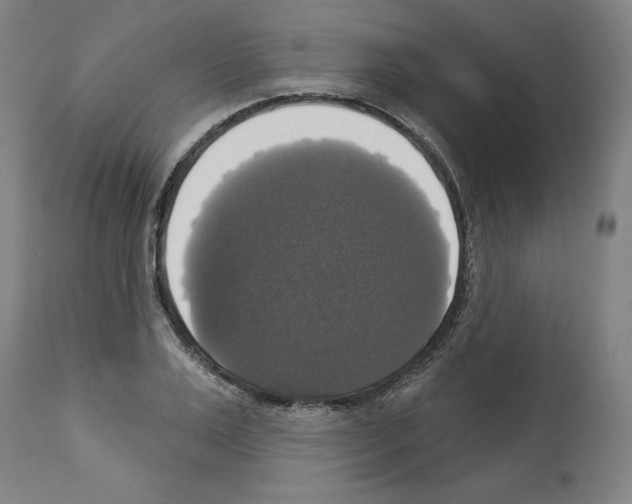X0000112910983200910051038