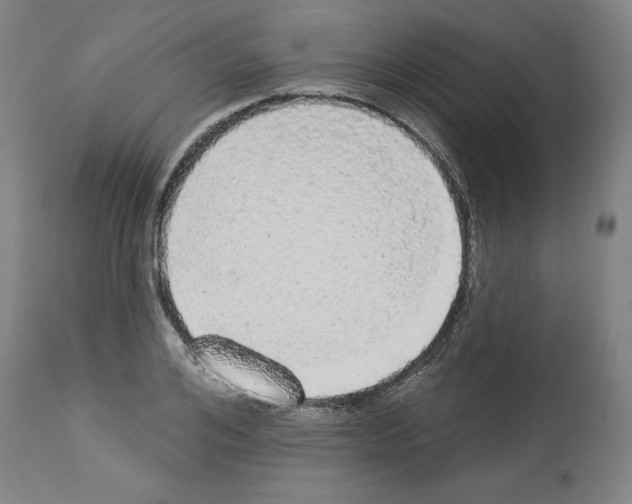 X0000112910984200910051038