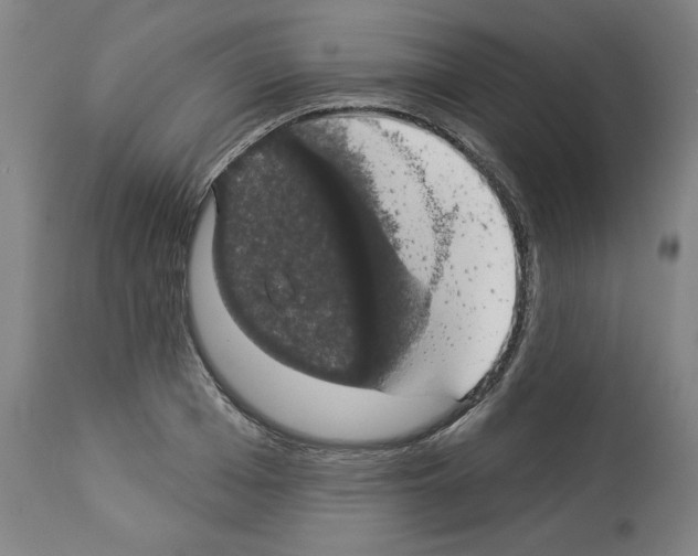 X0000112910985200910051038