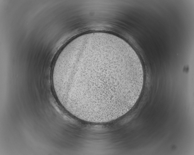 X0000112910986200910051038