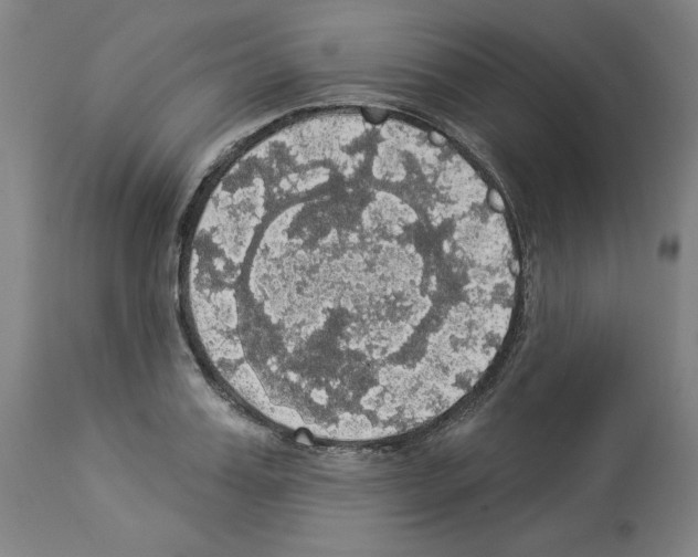 X0000112910987200910051038