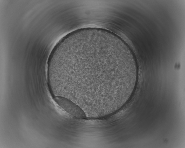 X0000112910988200910051038