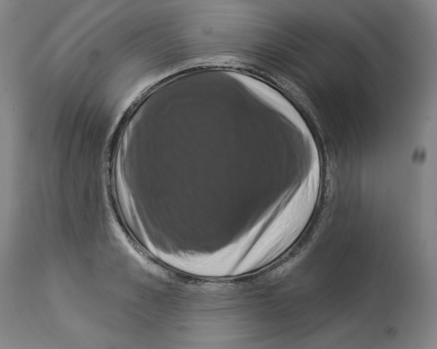 X0000112910989200910051038