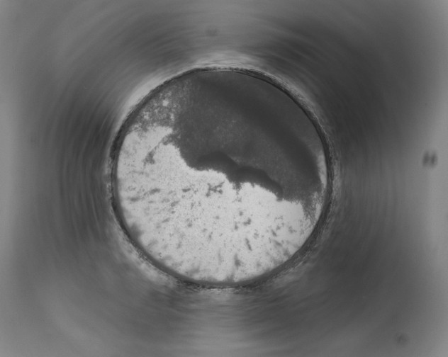 X0000112910990200910051038