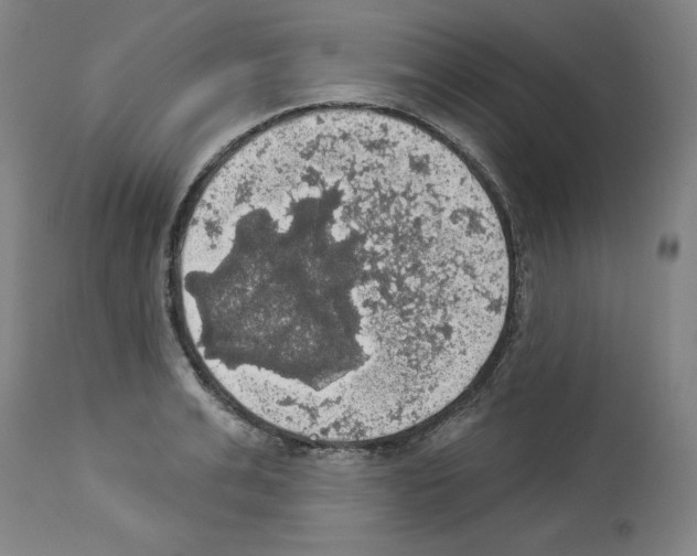 X0000112910991200910051038
