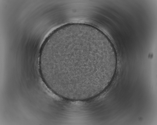 X0000112910992200910051038