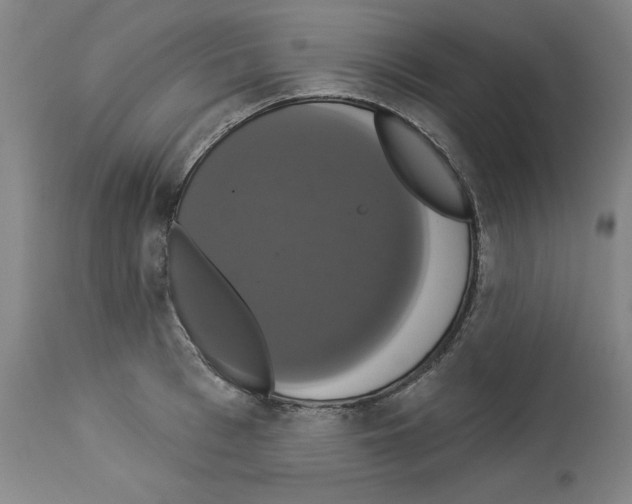X0000112910993200910051038