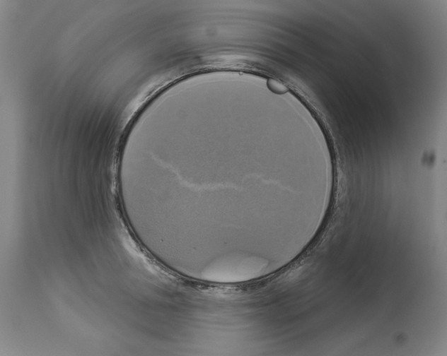 X0000112910994200910051038