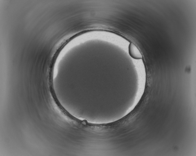 X0000112910995200910051038