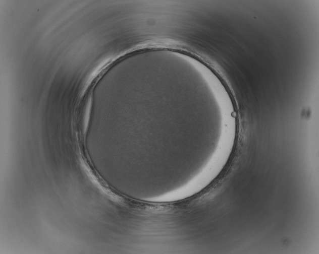 X0000112910997200910051038