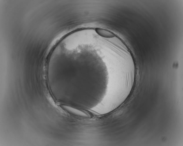 X0000112910998200910051038