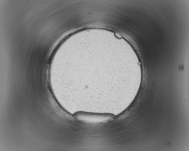 X0000112911000200910051038