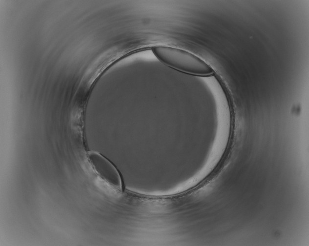 X0000112911001200910051038