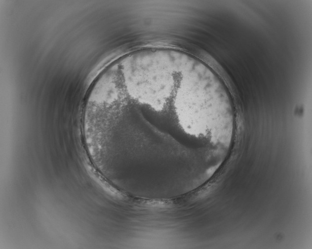 X0000112911002200910051038