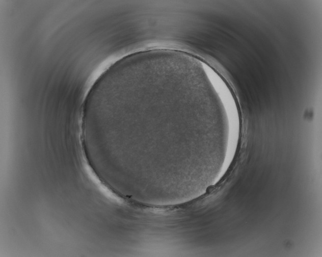 X0000112911005200910051038