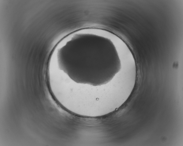 X0000112911007200910051038