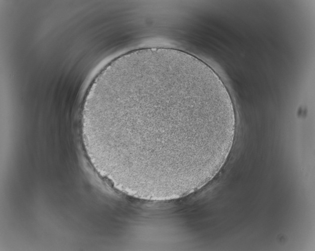 X0000112911008200910051038