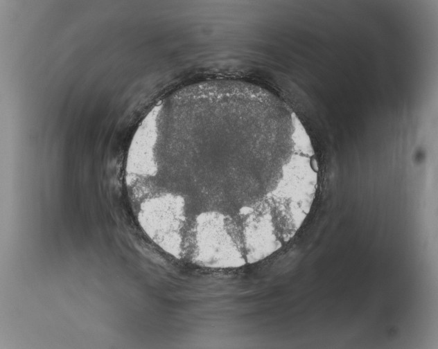 X0000112911010200910051037