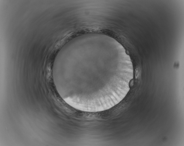X0000112911011200910051037