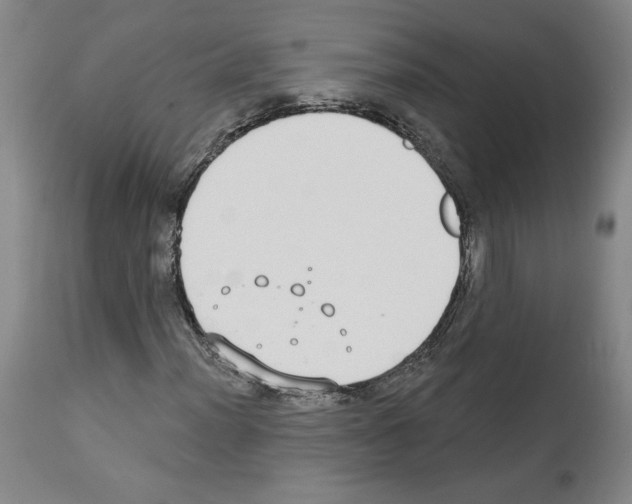 X0000112911012200910051037