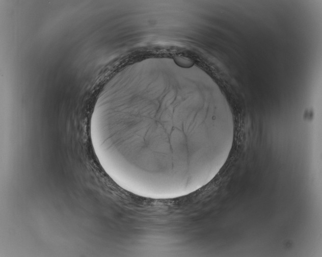 X0000112911013200910051037