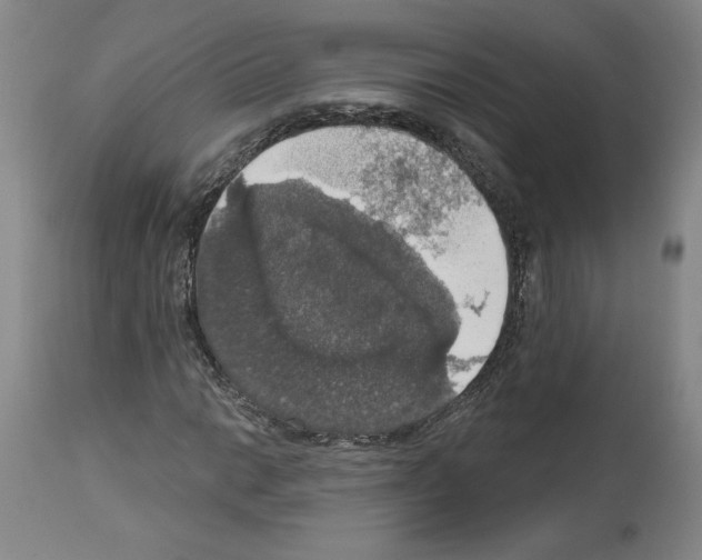 X0000112911014200910051037