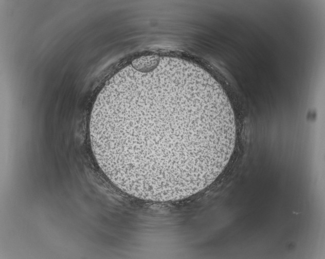 X0000112911015200910051037