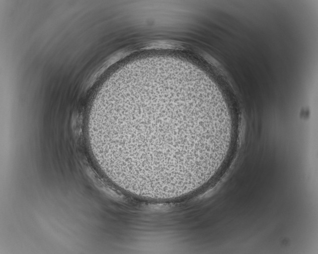 X0000112911017200910051037