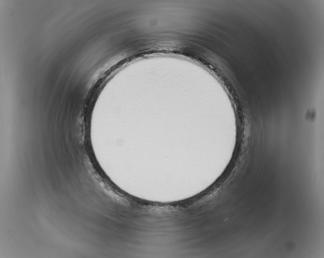 X0000112911018200910051037