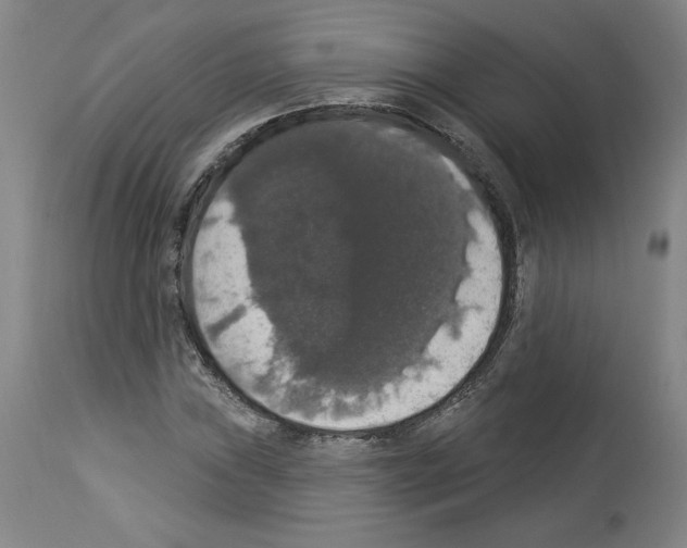 X0000112911019200910051037