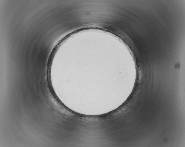 X0000112911020200910051037