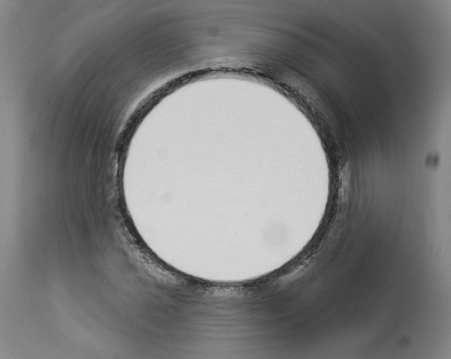 X0000112911021200910051037