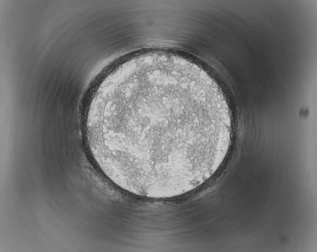 X0000112911022200910051037