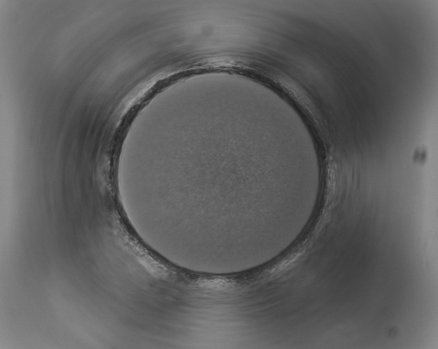 X0000112911023200910051037