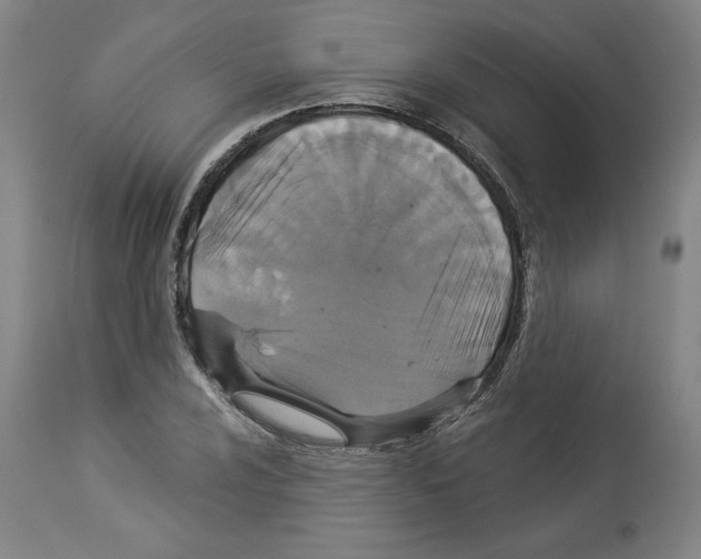 X0000112911024200910051038
