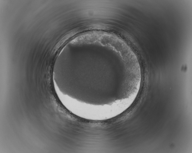 X0000112911025200910051038
