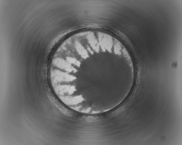 X0000112911027200910051038