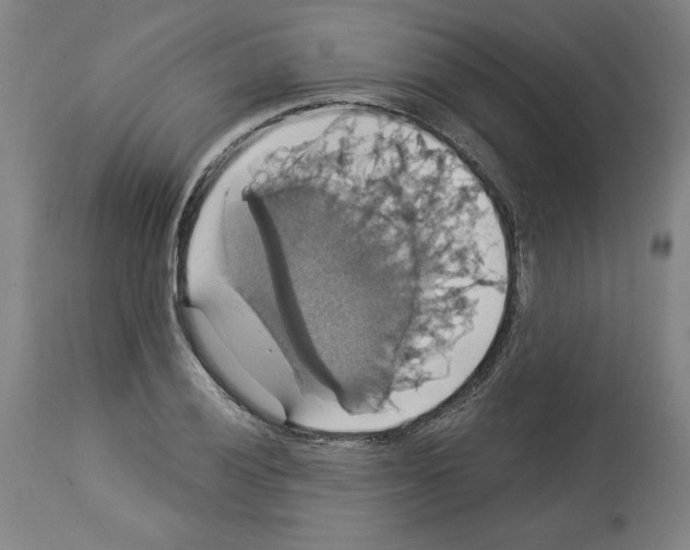 X0000112911028200910051038