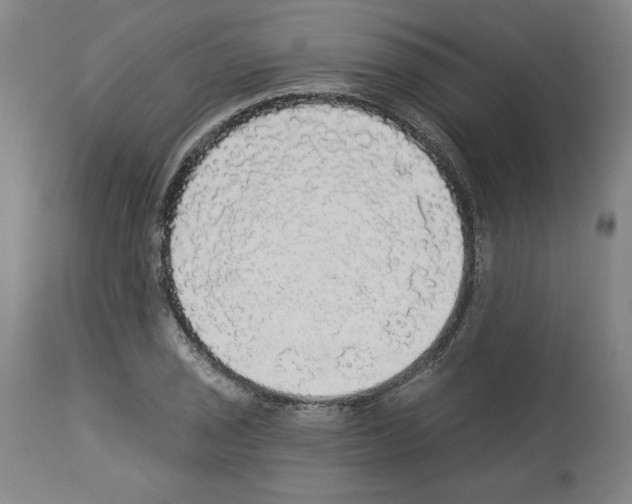 X0000112911029200910051038