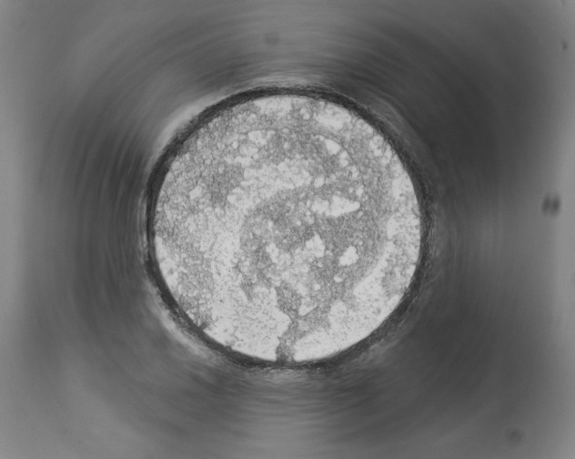 X0000112911030200910051038