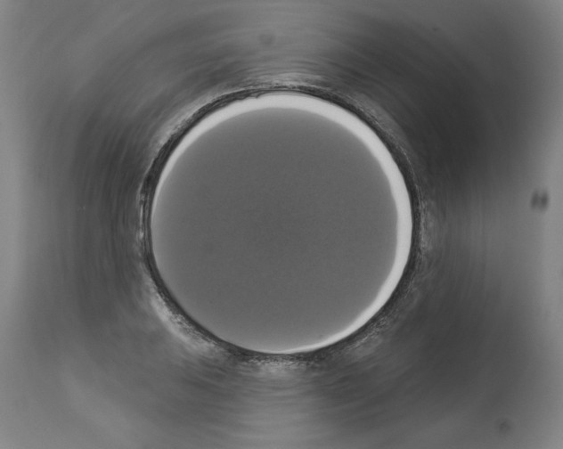 X0000112911031200910051038