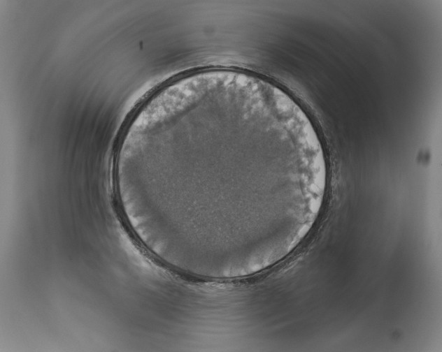 X0000112911032200910051038