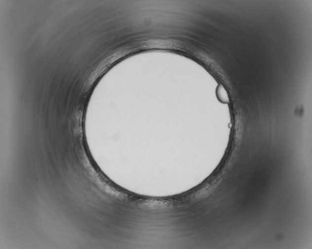 X0000112911033200910051038