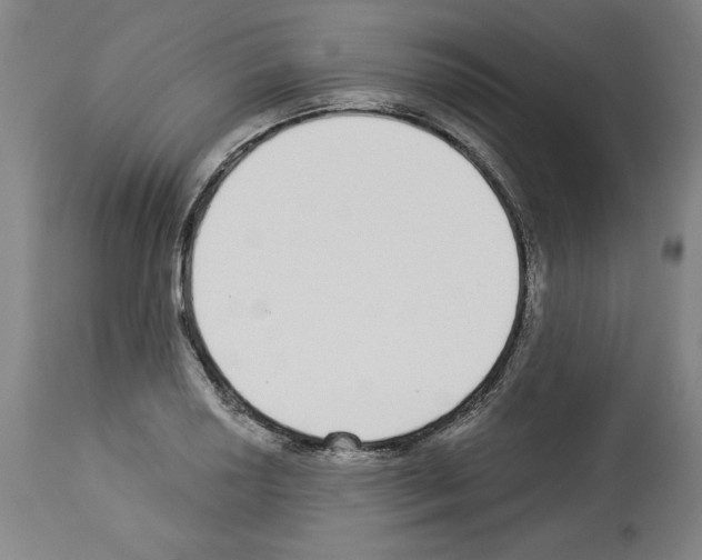 X0000112911034200910051038