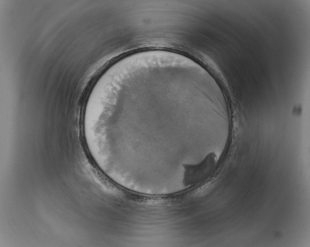 X0000112911035200910051038