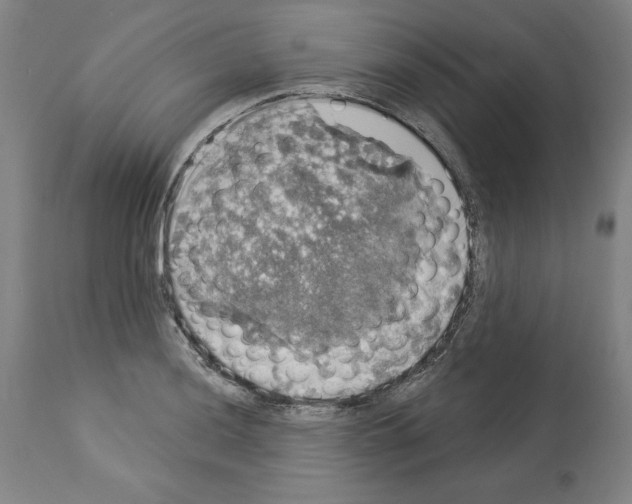 X0000112911036200910051038